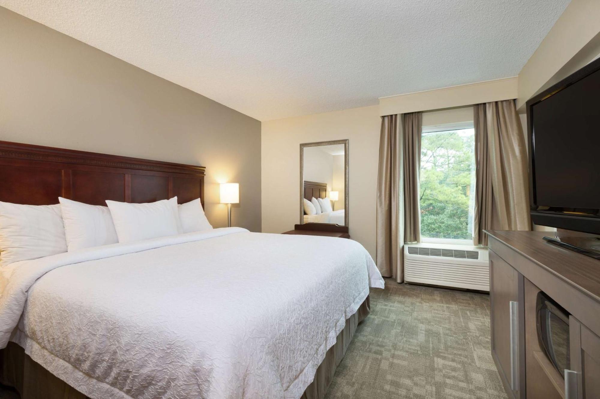 Hampton Inn Houston Near The Galleria Екстер'єр фото