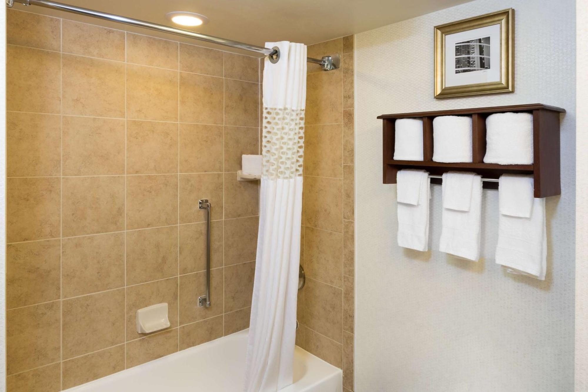 Hampton Inn Houston Near The Galleria Екстер'єр фото